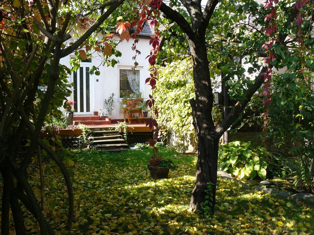Angela Vendeghaz Hotel Tokaj Ngoại thất bức ảnh