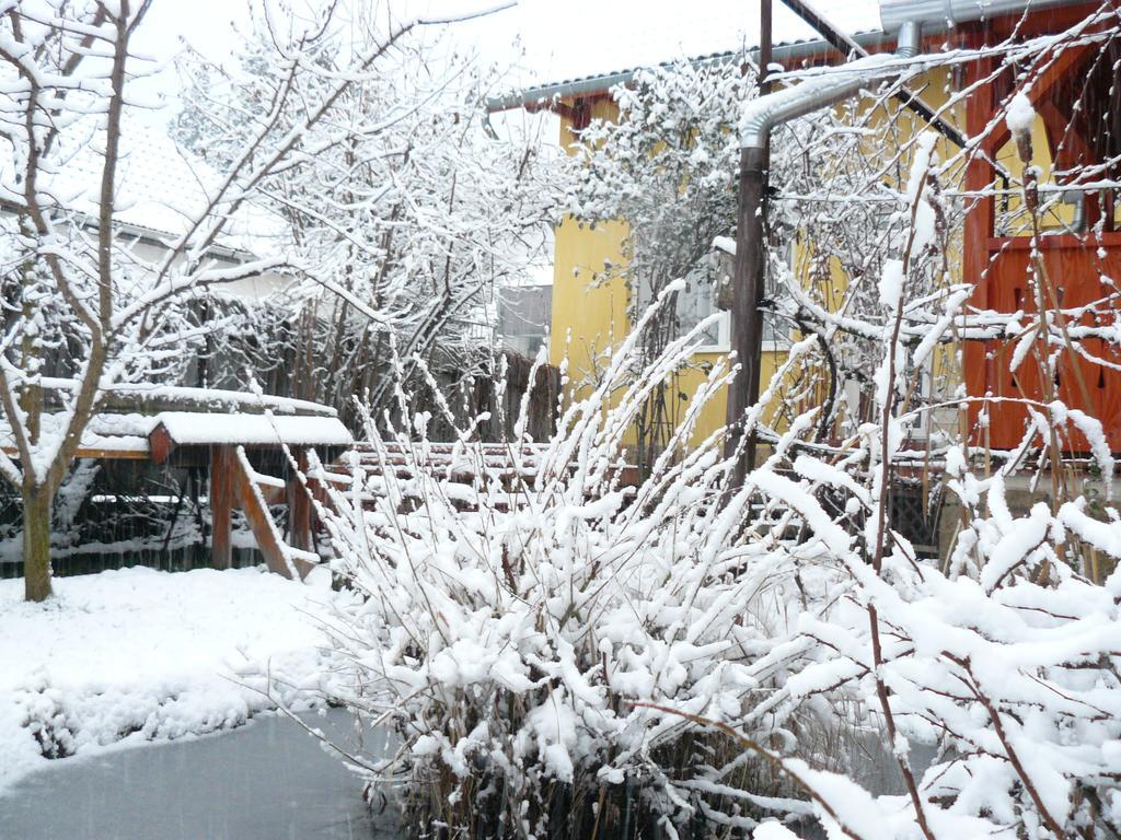 Angela Vendeghaz Hotel Tokaj Ngoại thất bức ảnh