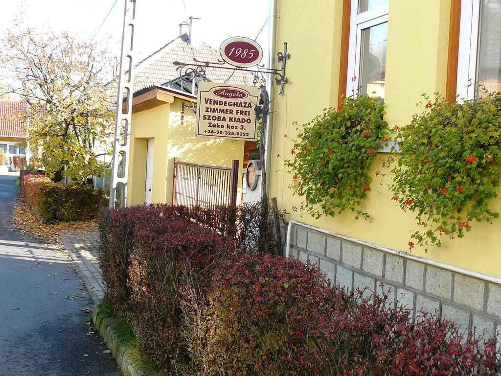 Angela Vendeghaz Hotel Tokaj Ngoại thất bức ảnh