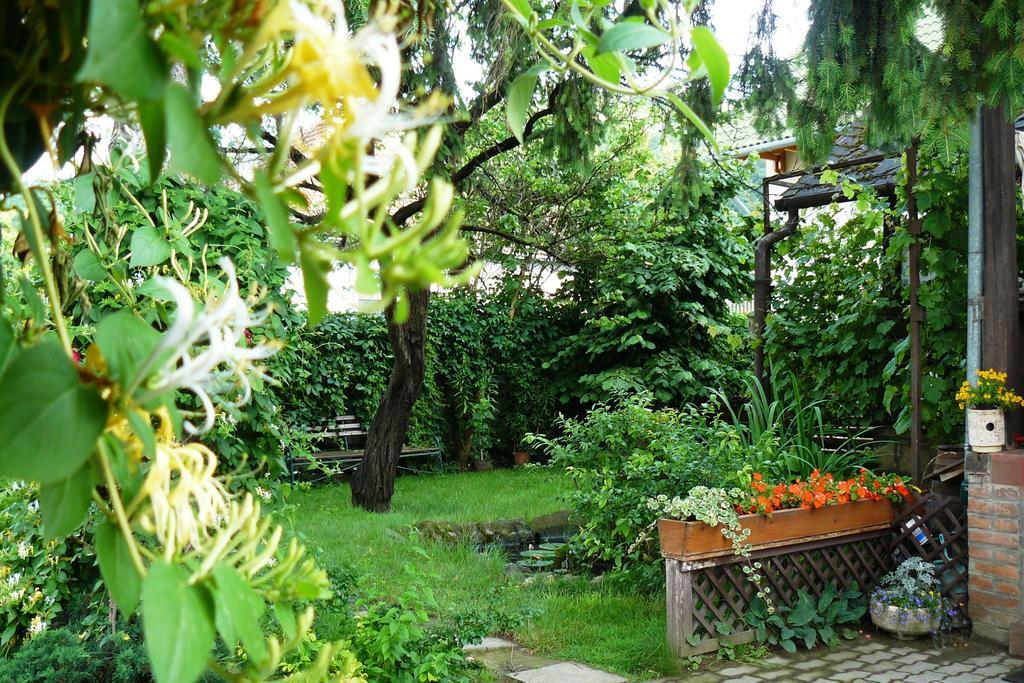 Angela Vendeghaz Hotel Tokaj Ngoại thất bức ảnh