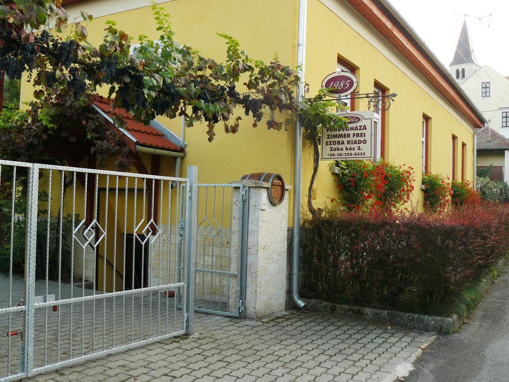 Angela Vendeghaz Hotel Tokaj Ngoại thất bức ảnh